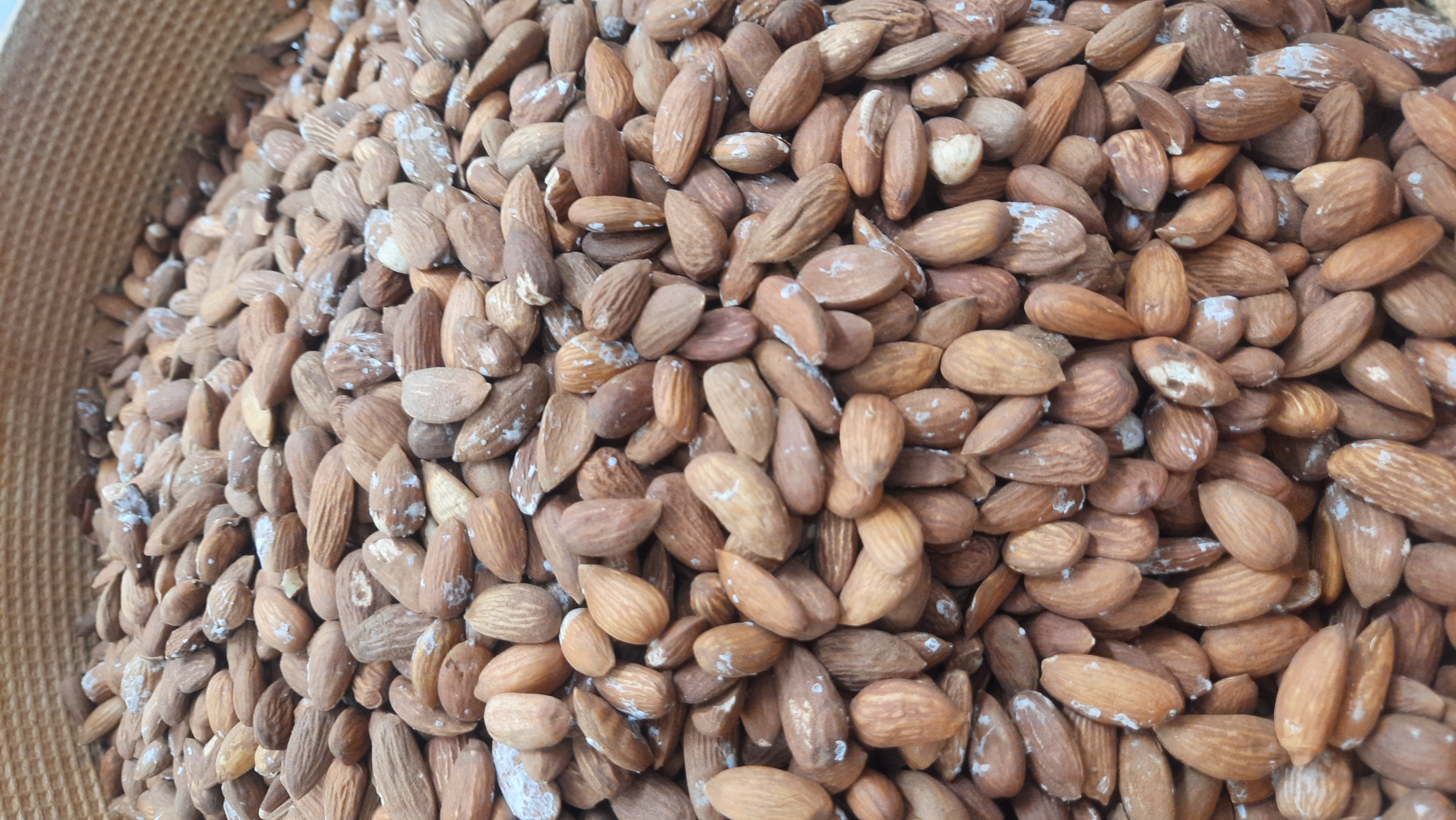 بادام درختی ایرانی (بوداده)