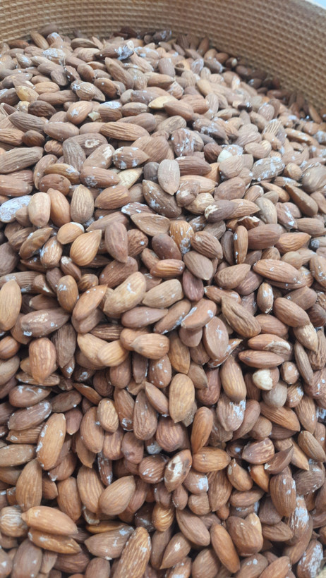 بادام درختی ایرانی (بوداده)