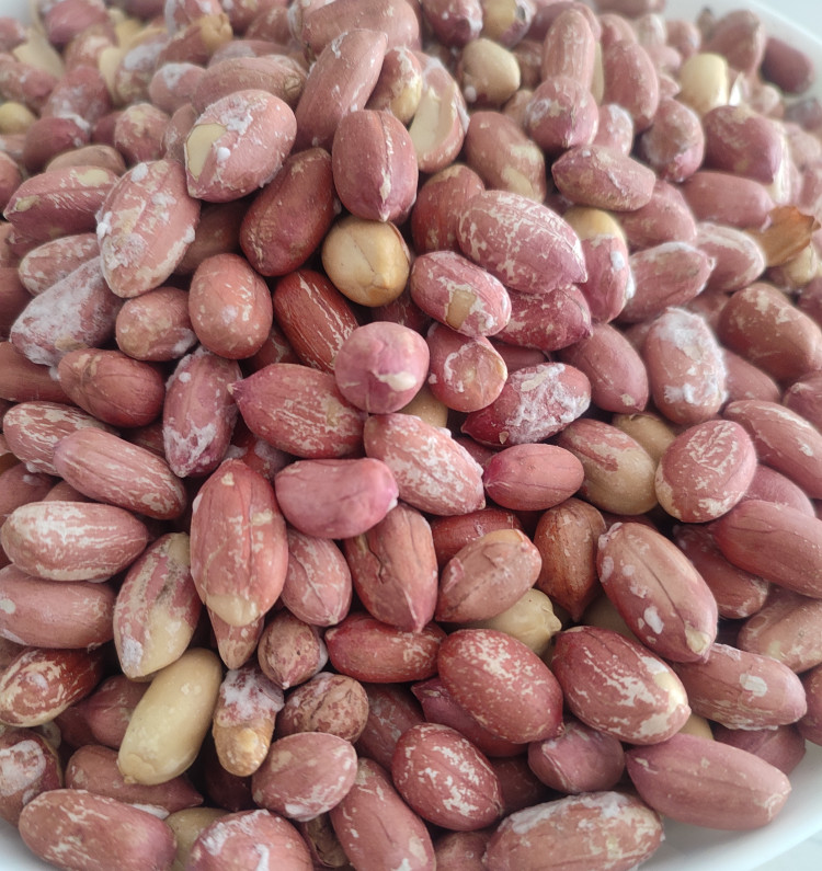 مغز بادام زمینی آستانه بوداده