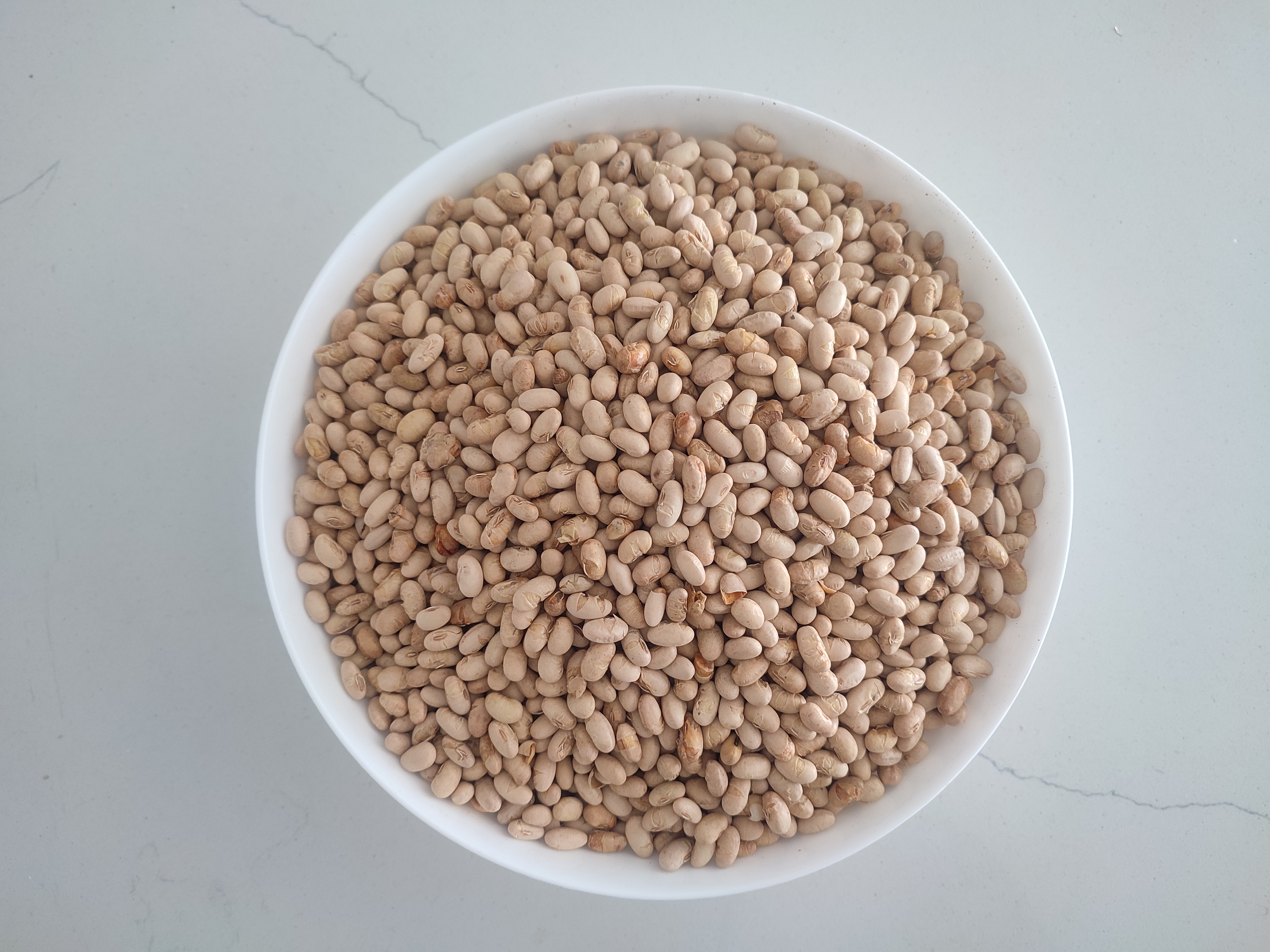 سویا آجیلی بوداده