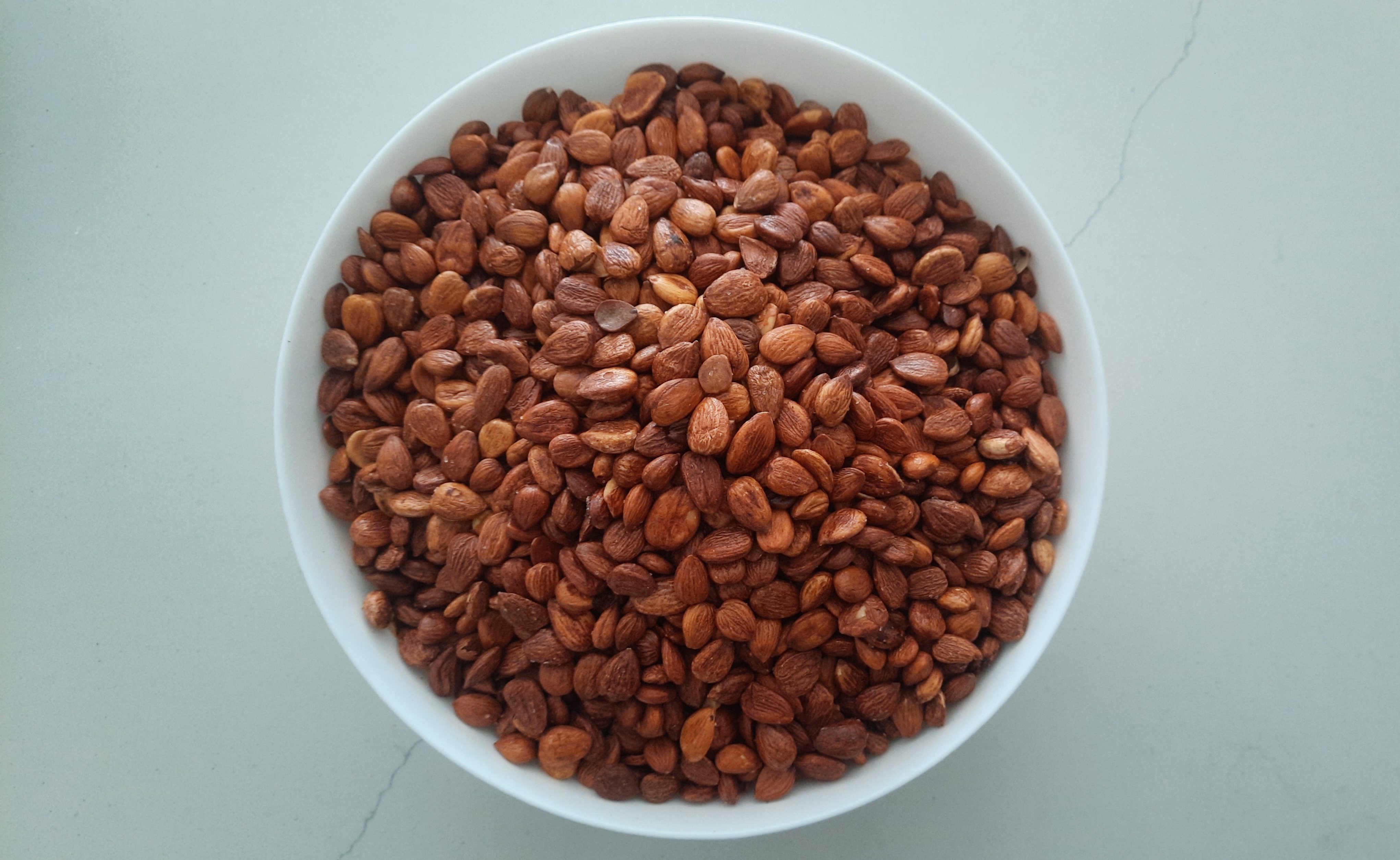 مغز هسته زردآلو بو داده